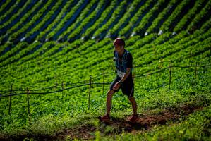 BIB: 
                            <button type="button" onclick="openModal(19160717)" class="btn btn-primary btn-sm float-right btn-popup" data-toggle="modal" data-target=".modal-high-quality">
                        <i class="fas fa-shopping-cart"></i> Add to Cart
                    </button>
                                            <button type="button" onclick="isThisMe(19160717, true)" class="btn btn-success btn-sm float-right btn-popup btn-isme hidden" data-toggle="tooltip" data-placement="bottom" title="นี่คือรูปของคุณใช่ไหม คลิกที่นี่เพื่อเอาเข้าอัลบั้ม">
                        <i class="fas fa-plus"></i> Add to album
                    </button>
                    <button type="button" onclick="isThisMe(19160717, false)" class="btn btn-warning btn-sm float-right btn-popup btn-isnotme hidden">
                        <i class="fas fa-ban"></i> Remove from album
                    </button>